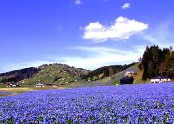 Δεν είναι στην Ελβετία, είναι παρχάρι του Πόντου (φωτο, βίντεο)