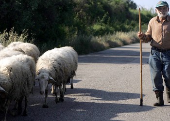 Άυλη κληρονομιά της Ελλάδας η μετακίνηση των κτηνοτρόφων με τα ζώα τους!