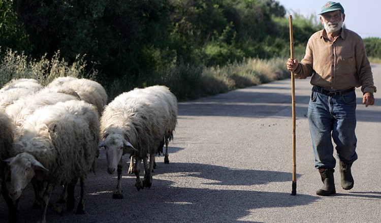 Άυλη κληρονομιά της Ελλάδας η μετακίνηση των κτηνοτρόφων με τα ζώα τους!
