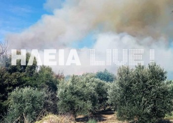 Ζαχάρω: Φωτιά σε αγροτοδασική έκταση κοντά το Ξηροχώρι