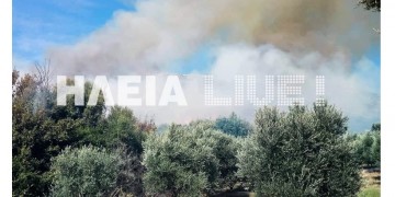 Ζαχάρω: Φωτιά σε αγροτοδασική έκταση κοντά το Ξηροχώρι