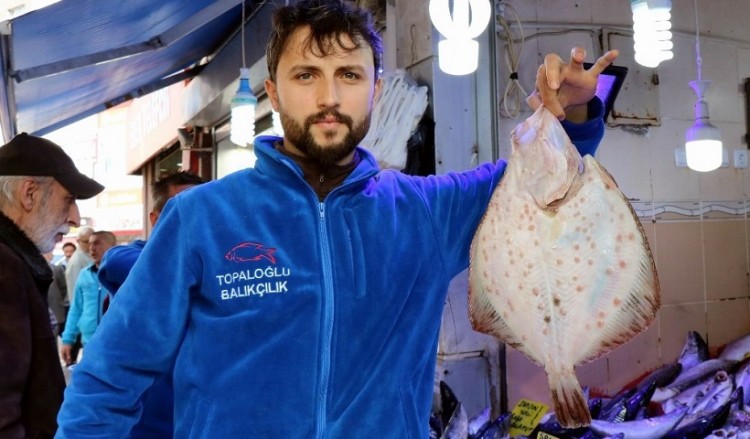Αμισός του Πόντου: Έφυγαν οι παλαμίδες, ήρθαν τα καλκάνια