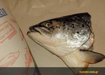 Σούπερ θρεπτική (και οικονομική) ψαρόσουπα με κεφάλι σολομού!