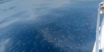 Ζάκυνθος: Πετρέλαιο στη θάλασσα μετά τον σεισμό