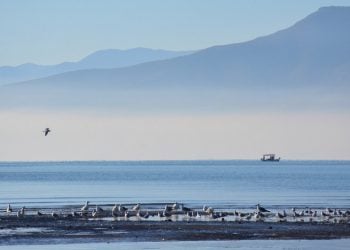 Καιρός: Ζέστη, σκόνη και τοπικές βροχές την Παρασκευή