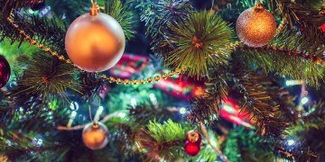 Κι έτσι, το έλατο έγινε χριστουγεννιάτικο δένδρο