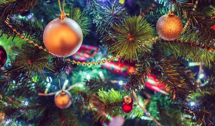 Κι έτσι, το έλατο έγινε χριστουγεννιάτικο δένδρο