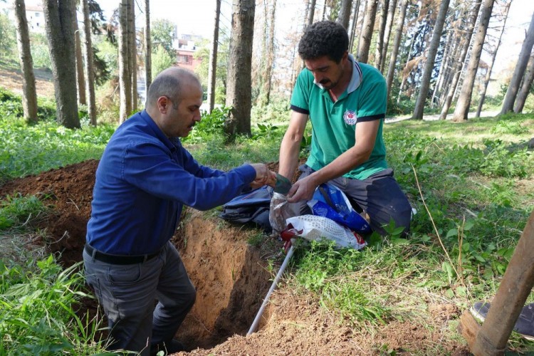 Ξεραίνονται τα έλατα στην έπαυλη Καπαγιαννίδη, στην Τραπεζούντα (βίντεο, φωτο) - Media Gallery