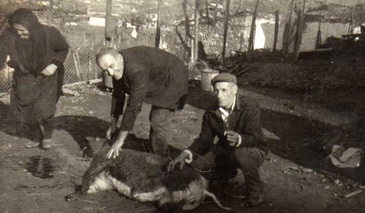 Χριστούγεννα 2018: Τα έθιμα του Δωδεκαήμερου στον κάμπο της Καρδίτσας