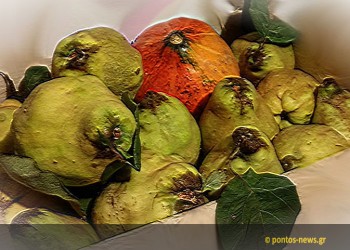 Τα ποντιακά κάλαντα της Πρωτοχρονιάς (βίντεο)