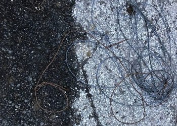 Θηλιές για παράνομη θήρευση άγριων ζώων βρέθηκαν κοντά στα ελληνοαλβανικά σύνορα (χάρτης)