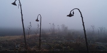 Χειμερινό ηλιοστάσιο 2018: Ξεκινά κι επίσημα ο χειμώνας απόψε, λίγο μετά τα μεσάνυχτα