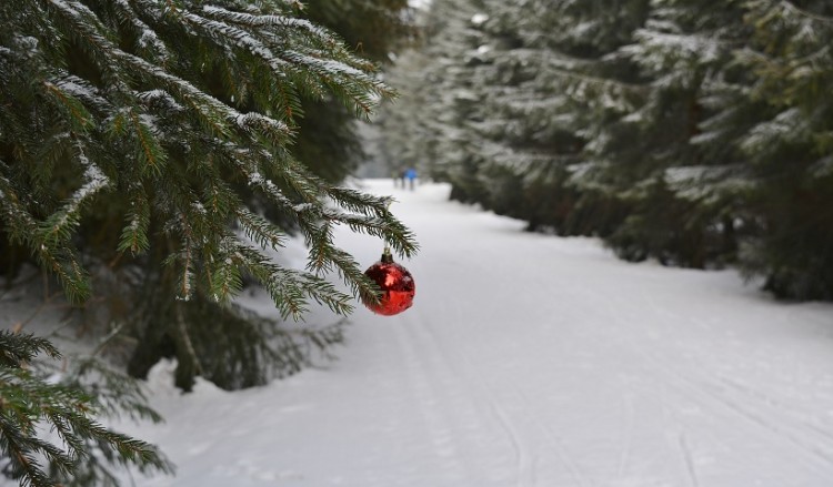 Ο καιρός τα Χριστούγεννα: Λευκή ημέρα με χιόνια και κρύο