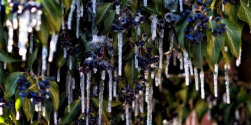 Καιρός: Η Υπατία έφερε ένα σπάνιο φαινόμενο σε Μακεδονία και Θεσσαλία