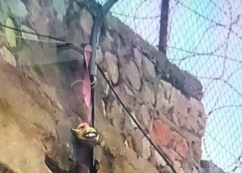 Με αυτοσχέδιο σκοινί απέδρασαν οι δύο Αλβανοί από τον Κορυδαλλό