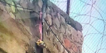 Με αυτοσχέδιο σκοινί απέδρασαν οι δύο Αλβανοί από τον Κορυδαλλό