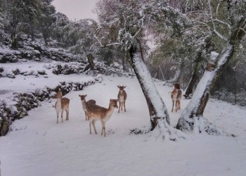 Συνεχίζεται η κακοκαιρία της Πρωτοχρονιάς: Χιόνια και προβλήματα στους δρόμους