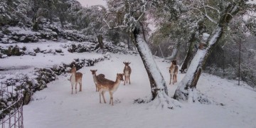 Συνεχίζεται η κακοκαιρία της Πρωτοχρονιάς: Χιόνια και προβλήματα στους δρόμους