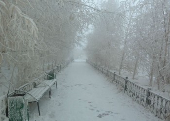 Γιακούτσκ: Η πόλη με την πιο κρύα υπαίθρια αγορά του κόσμου! (βίντεο)