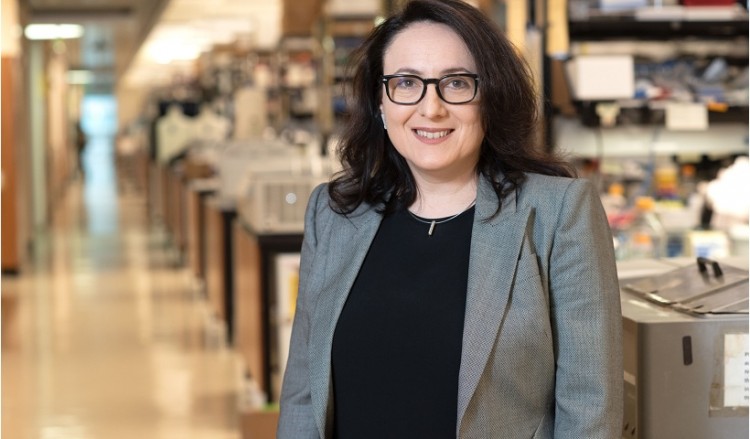 Διεθνές βραβείο στην Κατερίνα Ακάσογλου για έρευνα στη σκλήρυνση κατά πλάκας