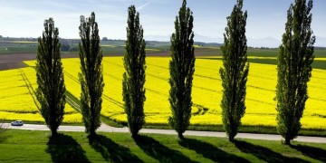 Ο καιρός την Τρίτη θα θυμίζει άνοιξη – Αναλυτική πρόγνωση