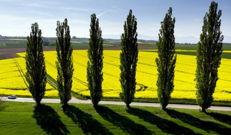 Ο καιρός την Τρίτη θα θυμίζει άνοιξη – Αναλυτική πρόγνωση