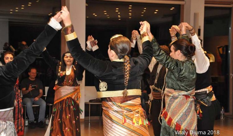 Ποντιακή νεολαία Βάιμπλινγκεν: 12ος Χορός Νεολαίας και εισήγηση για τη μουσική παράδοση του Πόντου