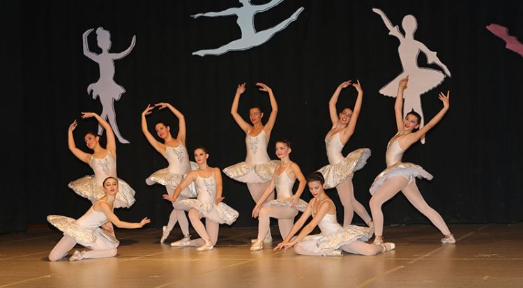 Εύξεινος Λέσχη Νάουσας: Θεματοφύλακας των πνευματικών θησαυρών της Αργυρούπολης του Πόντου (φωτο) - Media Gallery