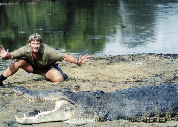 Steve Irwin: 57η επέτειος από τη γέννηση του «Κροκοδειλάκια» (βίντεο)