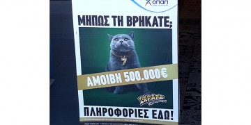 Κυνήγι σε όλη την Ελλάδα για μια γάτα, με αμοιβή 500.000 ευρώ