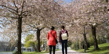 Καλός και ζεστός καιρός σήμερα