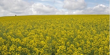 (Φωτ.: pixabay.com)