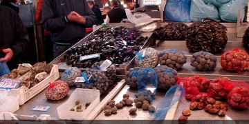 Προσοχή στα σαρακοστιανά – Τι πρέπει να γνωρίζουμε για τα θαλασσινά