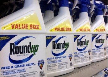 Αμερικανικό δικαστήριο έκρινε το ζιζανιοκτόνο Roundup υπεύθυνο για τον καρκίνο ενός άνδρα από την Καλιφόρνια