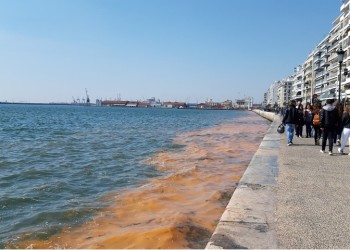 Εμφανίστηκε ξανά φυτοπλαγκτόν στον Θερμαϊκό