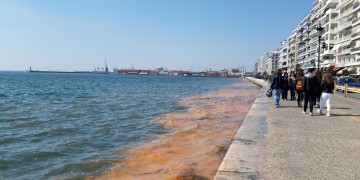 Εμφανίστηκε ξανά φυτοπλαγκτόν στον Θερμαϊκό