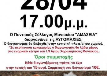Αυγομαχίες στον Ποντιακό Σύλλογο Μανιακίου «Αμάσεια» - Cover Image