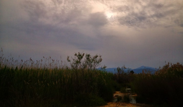 Δείτε πώς η αφρικανική σκόνη καλύπτει μεγάλες περιοχές στην Ελλάδα (βίντεο)