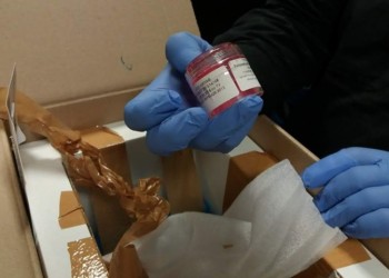 Τελωνειακοί σταμάτησαν εμπόριο οργάνων στο αεροδρόμιο «Μακεδονία»