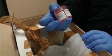 Τελωνειακοί σταμάτησαν εμπόριο οργάνων στο αεροδρόμιο «Μακεδονία»