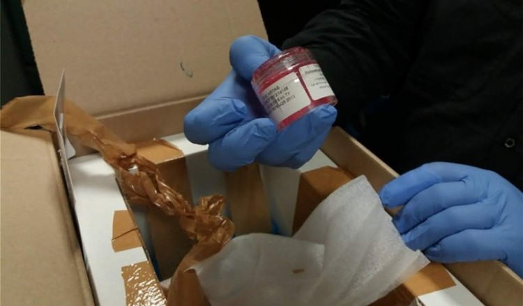 Τελωνειακοί σταμάτησαν εμπόριο οργάνων στο αεροδρόμιο «Μακεδονία»