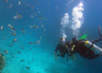 Αίγυπτος: Απαγορεύεται η πλαστική σακούλα μίας χρήσης στην Ερυθρά Θάλασσα