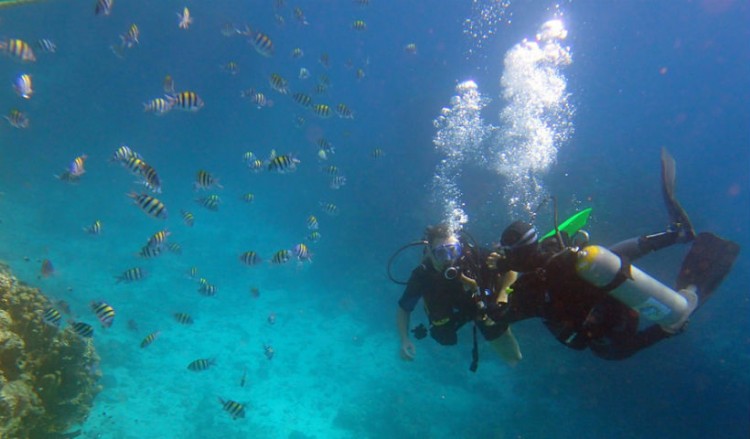 Αίγυπτος: Απαγορεύεται η πλαστική σακούλα μίας χρήσης στην Ερυθρά Θάλασσα