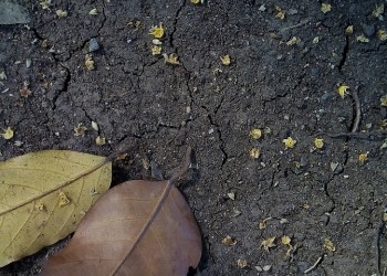 Ευρώπη: Η ξηρασία απειλεί μέρος της Γηραιάς Ηπείρου