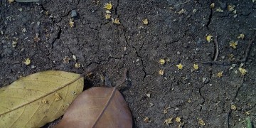 Ευρώπη: Η ξηρασία απειλεί μέρος της Γηραιάς Ηπείρου