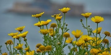 Πρωτομαγιά με αίθριο καιρό και υψηλές θερμοκρασίες