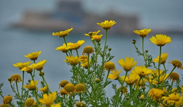 Πρωτομαγιά με αίθριο καιρό και υψηλές θερμοκρασίες