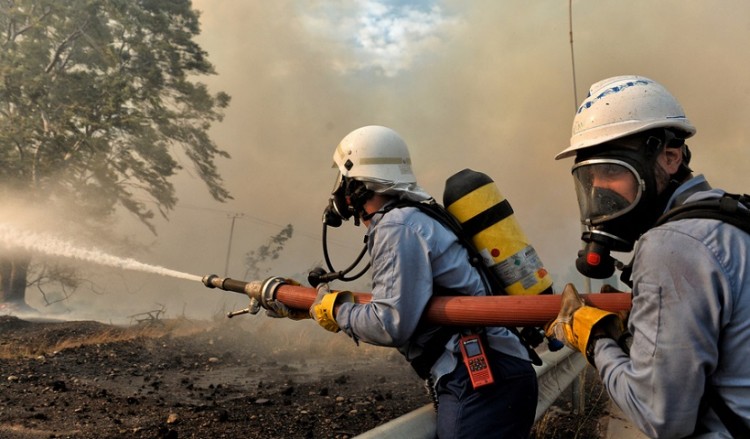 Φωτιά από κεραυνό στην Κάντια Αργολίδας (βίντεο)