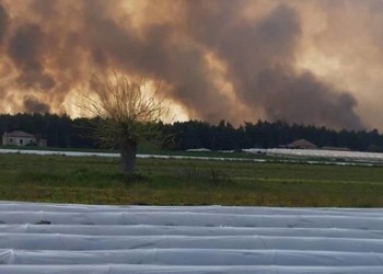 Φωτιά στο Άγιον Όρος: Συνεχίζεται η προσπάθεια για την κατάσβεση της φωτιάς 4