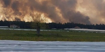 Φωτιά στο Άγιον Όρος: Συνεχίζεται η προσπάθεια για την κατάσβεση της φωτιάς 4